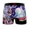 Boxer Man Dragon Ball Z Congelador (Boxers) Freegun chez FrenchMarket