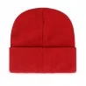 NHL Detroit Red Wings "Haymaker" hat (Beanie) '47 Brand on FrenchMarket