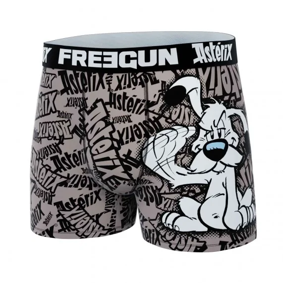 Set van 4 "Asterix en Obelix" Microvezel Boxershorts voor Mannen (Herenboxershorts) Freegun chez FrenchMarket