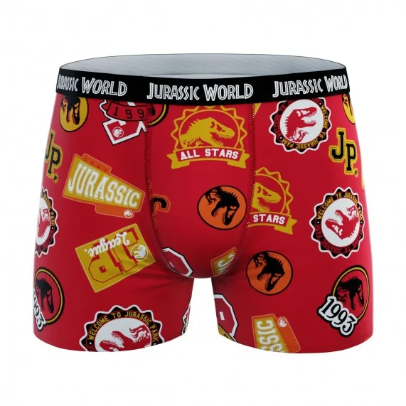 Lot de 4 Boxers 100% Coton Garçon Jurassic Park (Lot boxers Garçon) French Market chez FrenchMarket