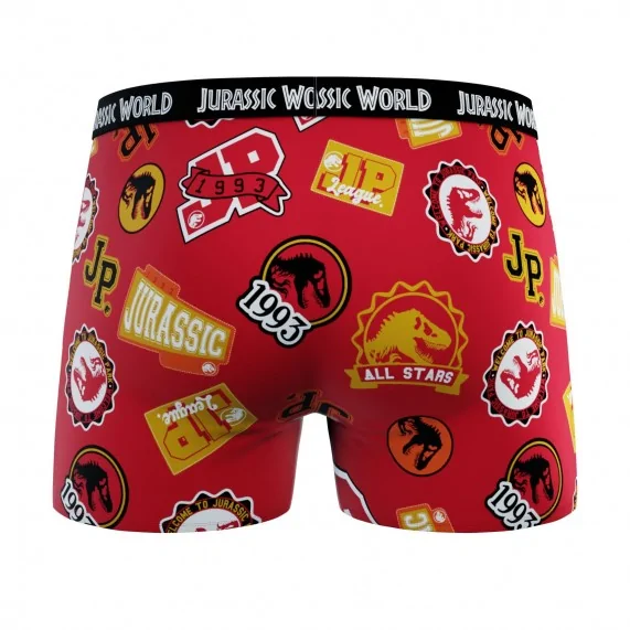 Lot de 4 Boxers 100% Coton Garçon Jurassic Park (Lot boxers Garçon) French Market chez FrenchMarket