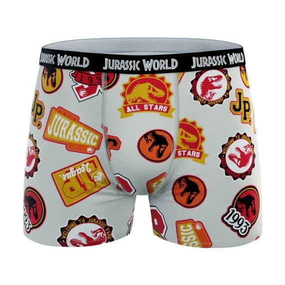 Lot de 4 Boxers 100% Coton Garçon Jurassic Park (Lot boxers Garçon) French Market chez FrenchMarket