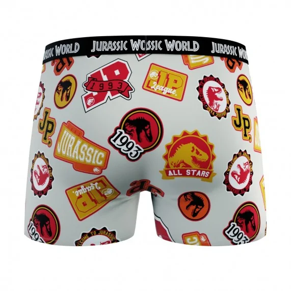 Lot de 4 Boxers 100% Coton Garçon Jurassic Park (Lot boxers Garçon) French Market chez FrenchMarket