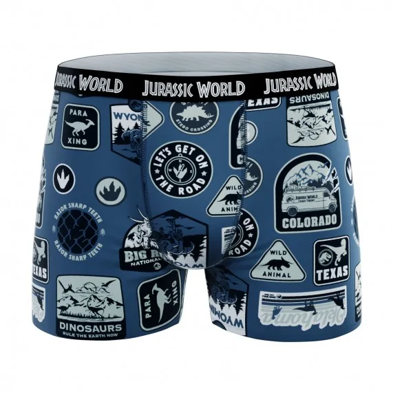 Set di 4 boxer Jurassic Park da ragazzo in 100% cotone (Boxer da ragazzo) French Market chez FrenchMarket