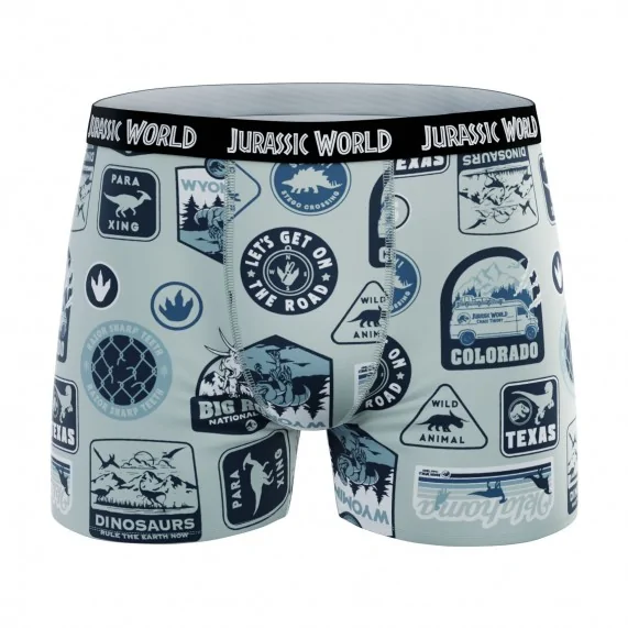 Lot de 4 Boxers 100% Coton Garçon Jurassic Park (Lot boxers Garçon) French Market chez FrenchMarket