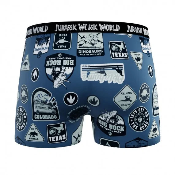 Set van 4 100% Katoenen Jurassic Park jongensboxershorts (Jongensboxershort) French Market chez FrenchMarket