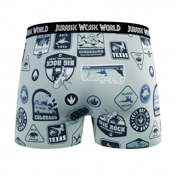 Lot de 4 Boxers 100% Coton Garçon Jurassic Park (Lot boxers Garçon) French Market chez FrenchMarket