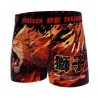 Boxer Homme Microfibre "Lion" (Boxers) Freegun chez FrenchMarket