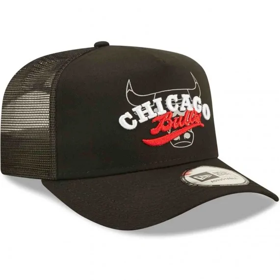 Cappello Trucker Chicago Bulls NBA Logo Overlay (Cappellino) New Era chez FrenchMarket