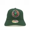 Boston Celtics "Team Logo" NBA pet (NBA-pet) Mitchell & Ness chez FrenchMarket