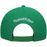 Casquette NBA Dallas Mavericks "Team Ground 2.0" (NBA-pet) Mitchell & Ness chez FrenchMarket