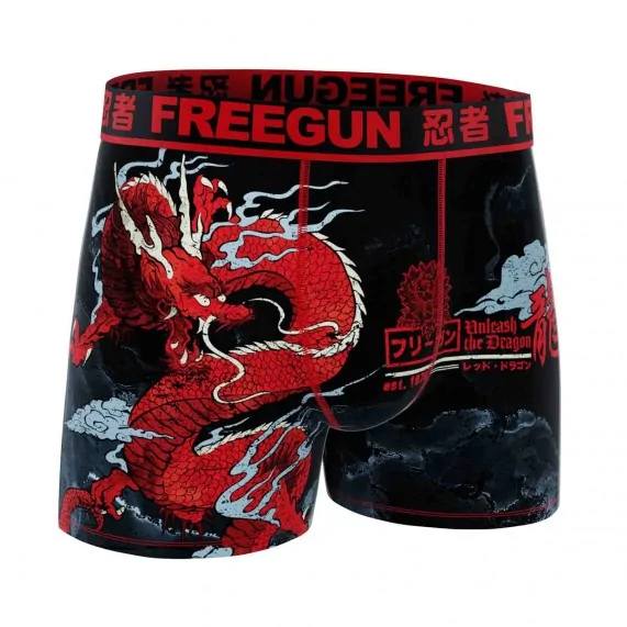 Boxer Homme Microfibre "Dragon" (Boksers) Freegun chez FrenchMarket