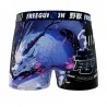 Boxer Homme Microfibre "Dragon" (Boxers) Freegun chez FrenchMarket